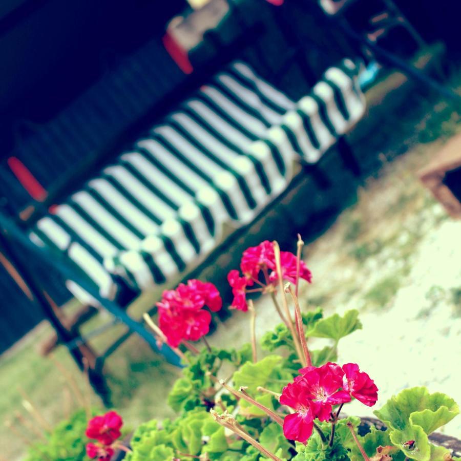B&B Red House Garlate Luaran gambar